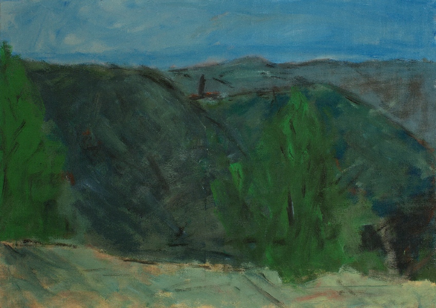 Thomas Bindl, Landschaft 2, 2009, 50x70cm, Acryl - Leinwand